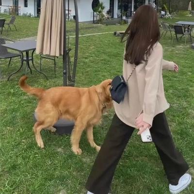 曼谷杀手